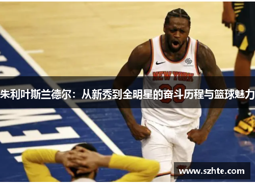 朱利叶斯兰德尔：从新秀到全明星的奋斗历程与篮球魅力